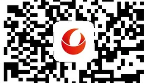 2026最新森林狼训练集锦：库明加惊艳飞扣，爱德华兹与三球亲密合影